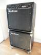 Mesa Boogie EV 200W