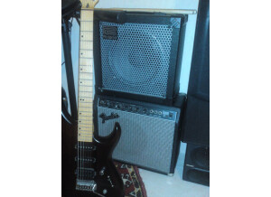 Roland Cube-30 (4577)