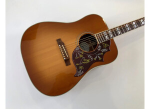 Gibson Hummingbird (98742)
