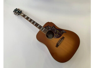 Gibson Hummingbird (98820)