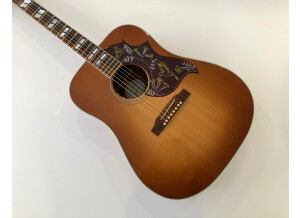 Gibson Hummingbird (44418)