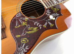 Gibson Hummingbird (21082)