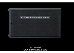 Custom Audio Electronics Bafle CAA 2x12