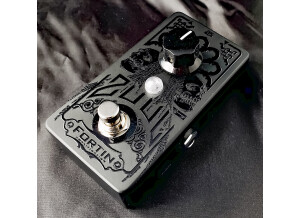 Fortin Amplification Zuul (55461)