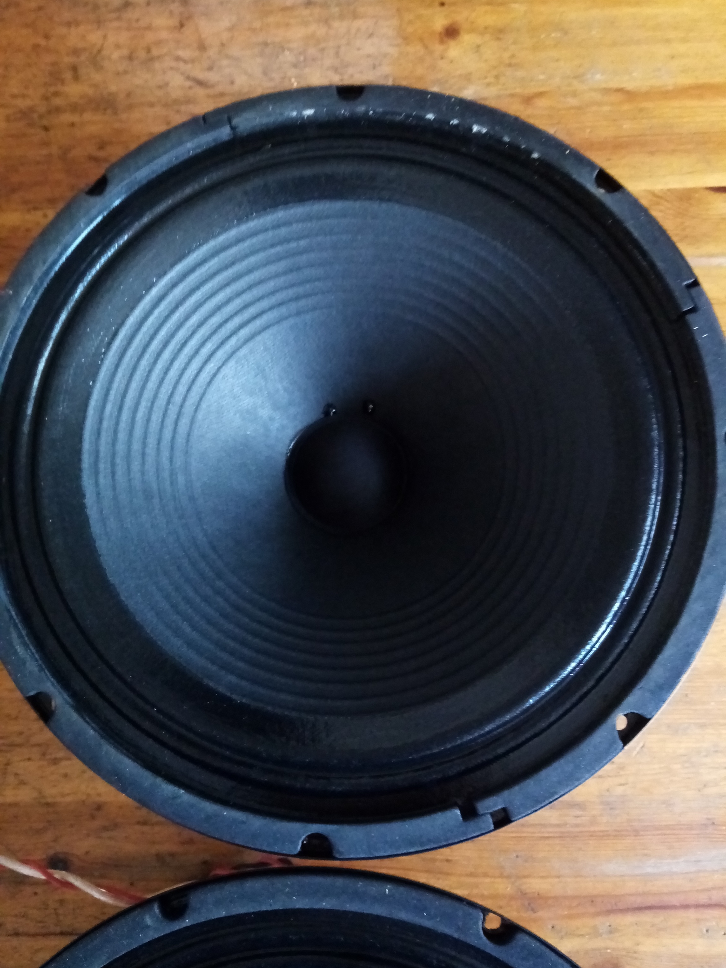 scumback 10 inch speakers