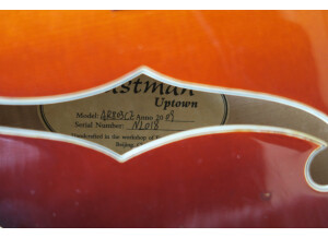 Eastman AR803CE (7174)