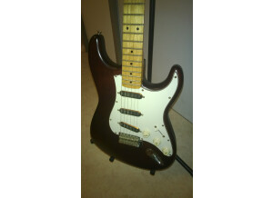 Fenix by Young Chang Stratocaster