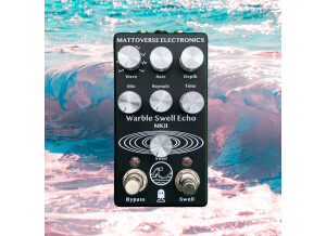 Mattoverse Electronics Warble Swell Echo MKII