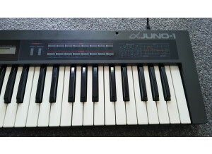 Roland JUNO-1 (40445)