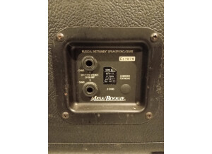 Mesa Boogie EV 200W (87012)