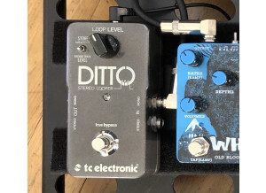 TC Electronic Ditto Stereo Looper (91979)