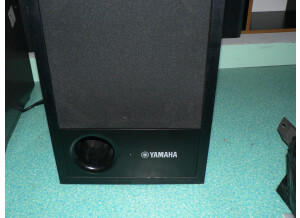 Yamaha SW10 (56580)