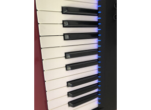 Native Instruments Komplete Kontrol S49 mk2 (57855)