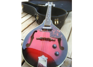 Samick mandoline f5 (4884)