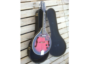 Samick mandoline f5 (61773)