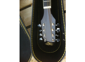 Samick mandoline f5 (13986)
