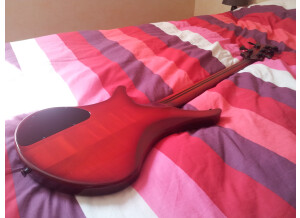 Vigier Passion 5 cordes