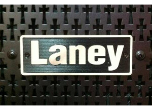 Laney TI100