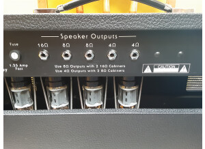 Custom Audio Electronics OD-100SH