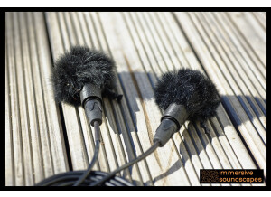 Immersive Soundscapes Earsight microphone - XLR Version