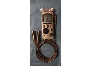 Immersive Soundscapes Earsight microphone - PIP Version (mini jack 3.5)
