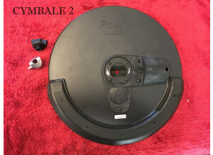 CY8 2 (2)