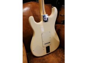 Fender EOB Sustainer Stratocaster (15119)