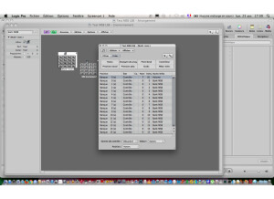 Roland JV-2080 (50931)