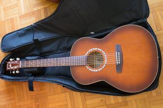 Art & Lutherie Folk Cedar