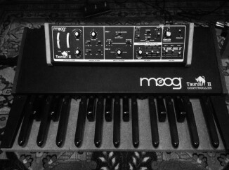 Moog Music Taurus 2 Bass pedal