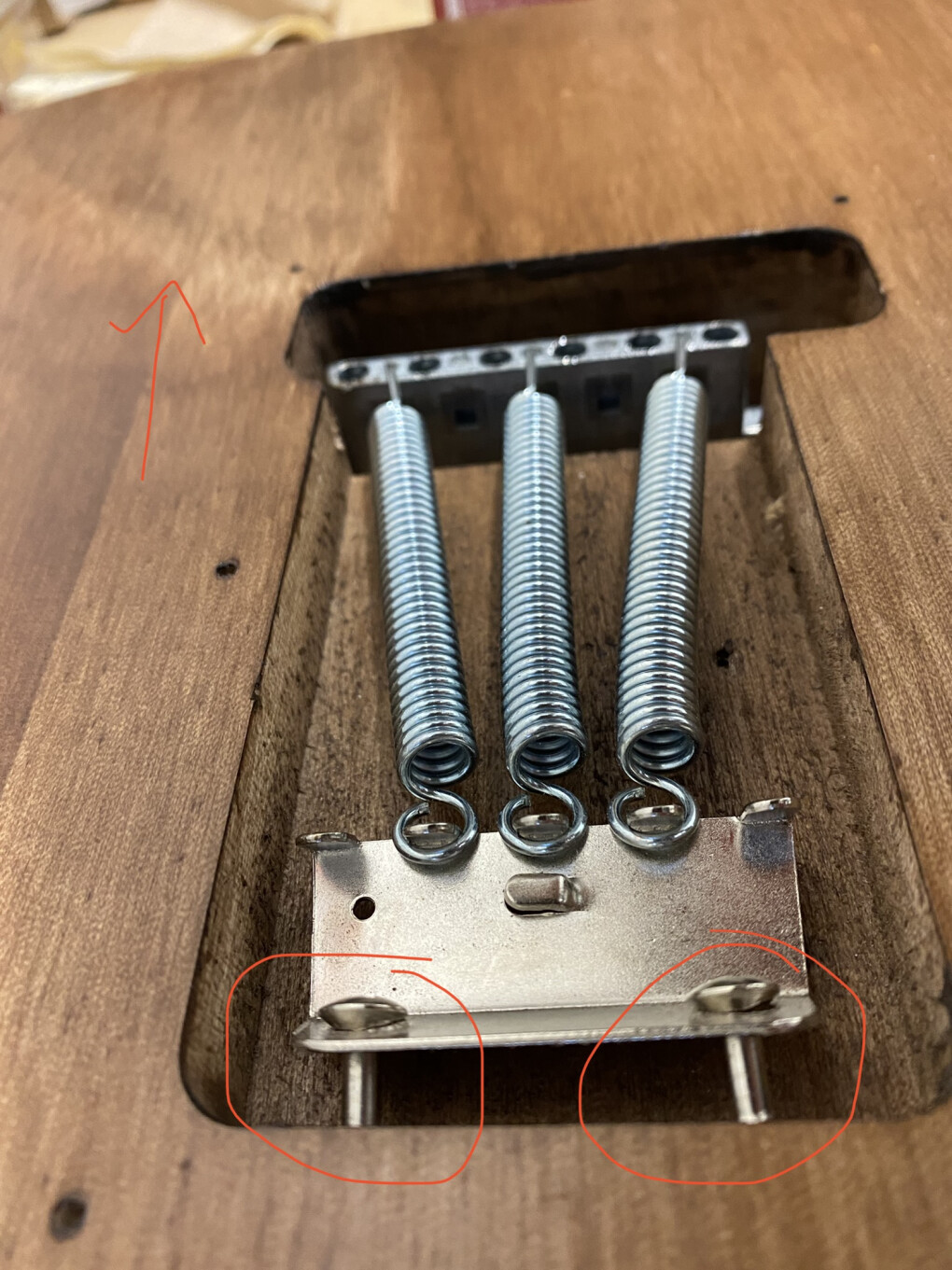 4561239.jpeg 4561239.jpeg