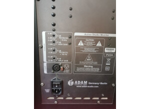 ADAM Audio P-22A (52680)