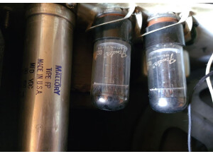 Fender Champ II (71600)