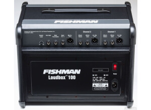 Fishman Loudbox 100 (3398)