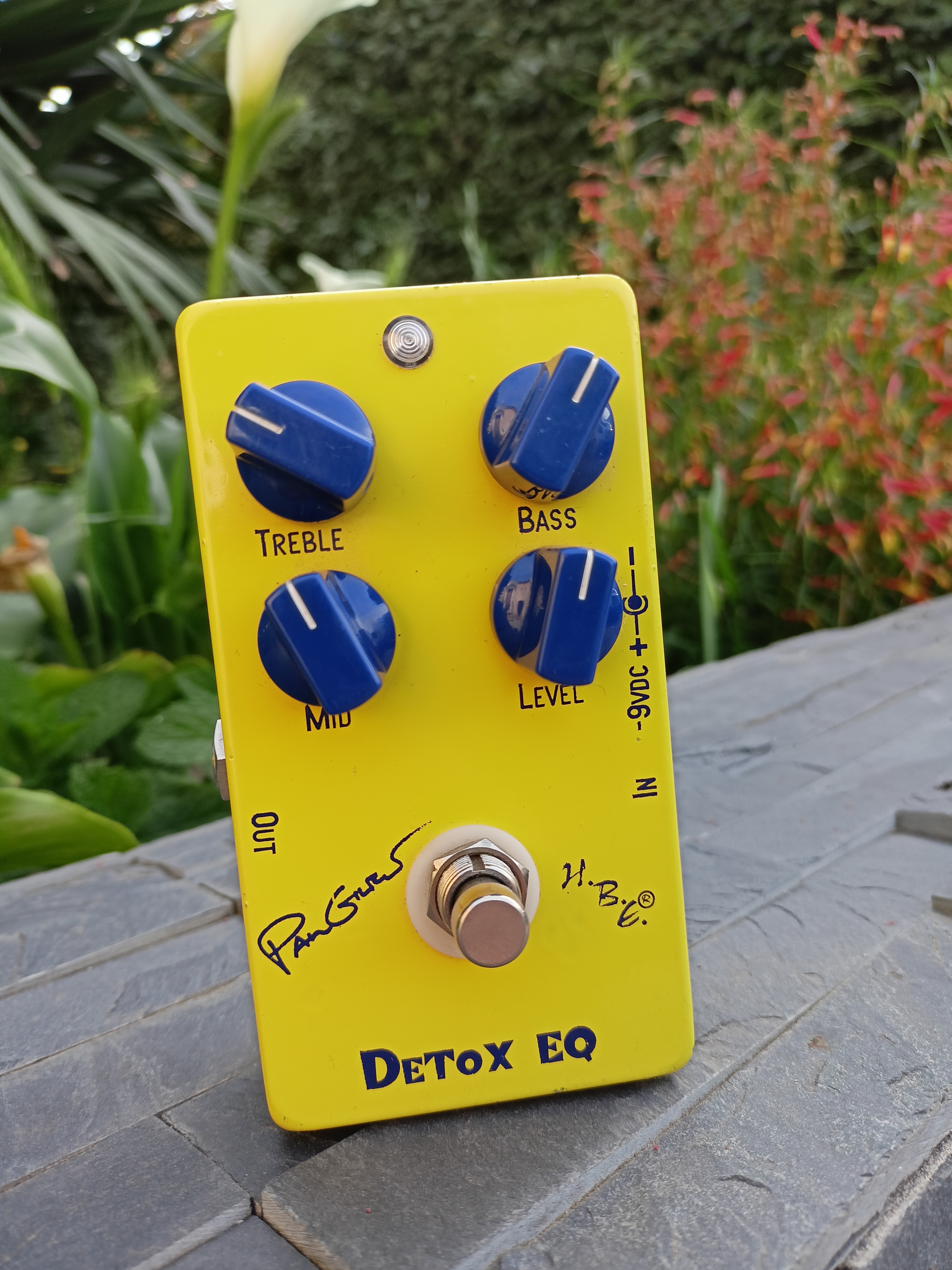 Pictures and images HomeBrew Electronics Detox EQ Paul Gilbert