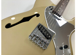 Squier Vintage Modified Telecaster Thinline (78456)