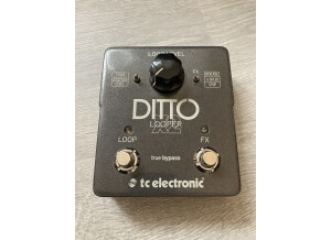 TC Electronic Ditto X2 (12337)