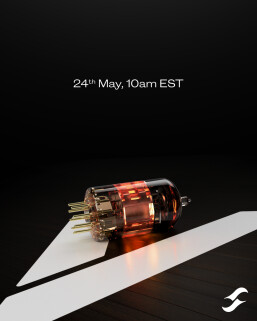 vtease_54post (1) vtease_54post (1)