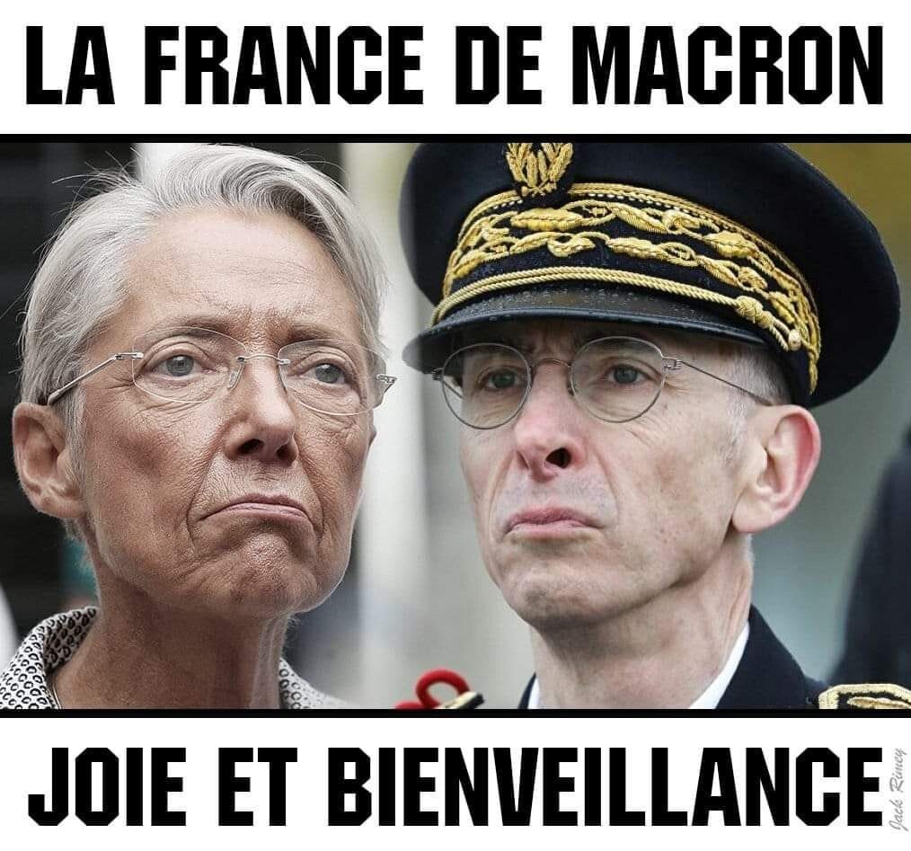 4583877.jpeg 4583877.jpeg
