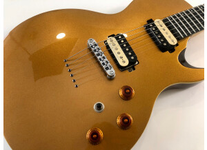 Chapman Guitars ML-2 Classic (10225)