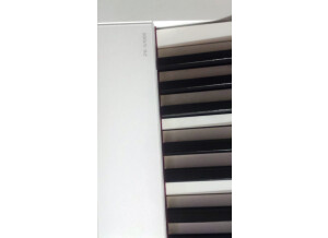 Casio Privia PX-S1000 (10391)