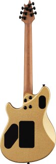 WGstandard2 WGstandard2