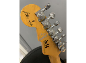 Reverend BC-1 Billy Corgan Signature