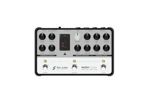 Two Notes Audio Engineering ReVolt Guitar