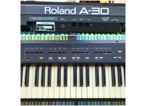 Roland A-30