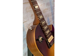 Gibson Les Paul Future Tribute (11301)