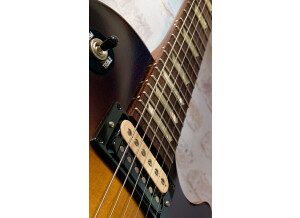 Gibson Les Paul Future Tribute (70256)
