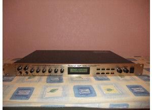 Roland GP-100 (50783)