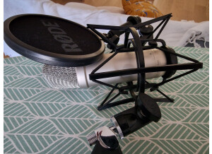 Behringer Brains (97423)