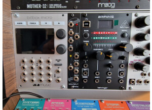 Behringer Brains (24583)